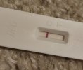 IMG_20250924_054105.jpg