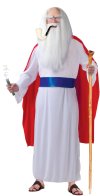 panoramix-kostuum-asterix-en-obelix-798456.jpg