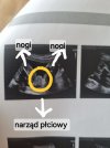 chatgpt-1754305799070.jpg
