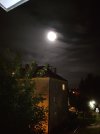 IMG_20251005_220319011.jpg