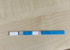 IMG_3554.jpeg