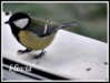 DSC03186aa.jpg
