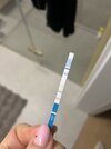 IMG_4019.jpeg
