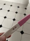 IMG_1786.jpeg