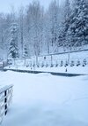 IMG_20260331_082310.jpg