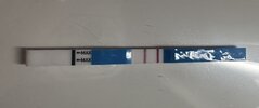 IMG_3431.jpeg
