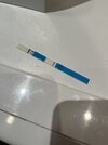 IMG_0659.jpeg