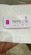 IMG_6537.jpeg