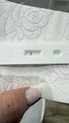 IMG_6557.jpeg
