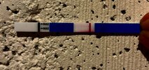IMG_3628.jpeg