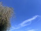 IMG_7324.jpeg
