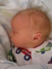 DSC05052.jpg