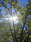 IMG_20260501_134439.jpg