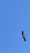 IMG_5054.jpeg