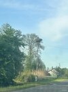 IMG_5140.jpeg