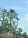 IMG_5143.jpeg