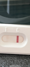 E2A9A015-96D0-47B2-BCBC-D75C2785B8CC.png