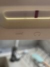 IMG_7802.jpeg