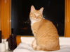 DSC01504.jpg