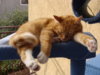 DSC01403.jpg