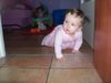 100_6622.jpg 100_6622.jpg