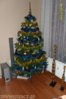 010_zmniejszacz-pl_6011.jpg