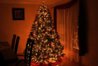 choinka.jpg