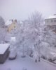 DSC00512.JPG