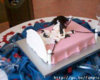 weddingcake38fe[1].jpg