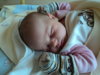 DSC00158.jpg