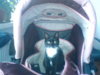 DSC00055.jpg