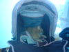 DSC00057.jpg