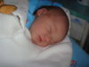DSC04342.jpg