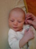 DSC01123.jpg