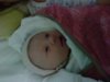 DSC00533.jpg