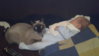 20101124100.jpg