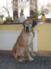 DSCN2670_450x600.jpg