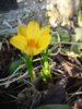 SAM_0041.jpg SAM_0041.jpg