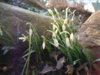 SAM_0035.jpg SAM_0035.jpg