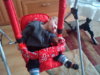 DSC01835.jpg