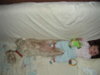 DSCN0781.jpg