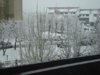 DSC01721.jpg