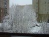 DSC01722.jpg