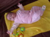 SDC11033.jpg SDC11033.jpg