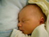 DSC05067.jpg
