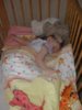SDC11347miś1.jpg SDC11347miś1.jpg