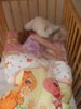 SDC11342miś.jpg SDC11342miś.jpg