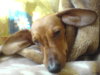 DSC00184.JPG