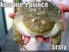 funny-pictures-frog-prince-kiss.jpg funny-pictures-frog-prince-kiss.jpg