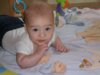 SAM_0047.jpg